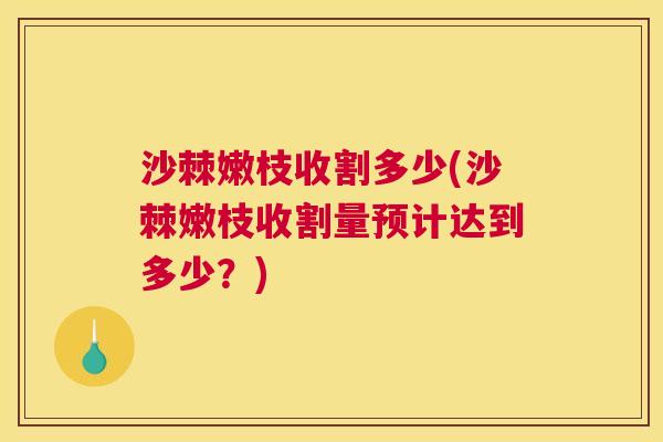 沙棘嫩枝收割多少(沙棘嫩枝收割量预计达到多少？)