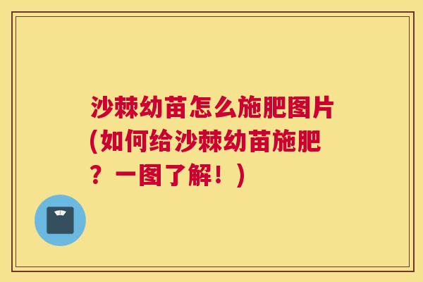 沙棘幼苗怎么施肥图片(如何给沙棘幼苗施肥？一图了解！)