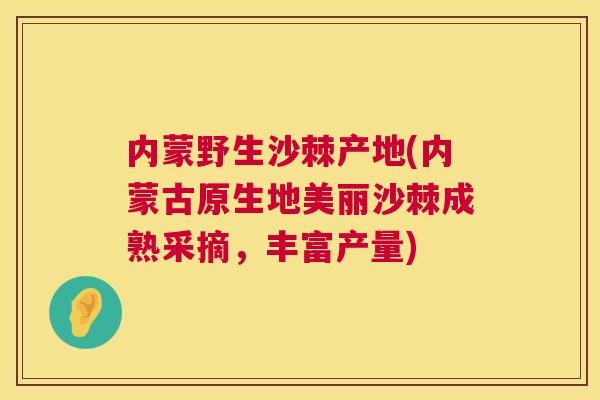 内蒙野生沙棘产地(内蒙古原生地美丽沙棘成熟采摘，丰富产量)