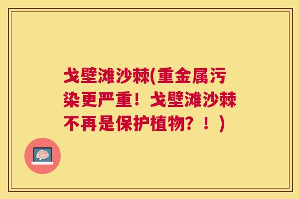 戈壁滩沙棘(重金属污染更严重！戈壁滩沙棘不再是保护植物？！)