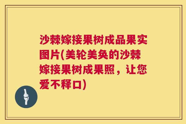 沙棘嫁接果树成品果实图片(美轮美奂的沙棘嫁接果树成果照，让您爱不释口)