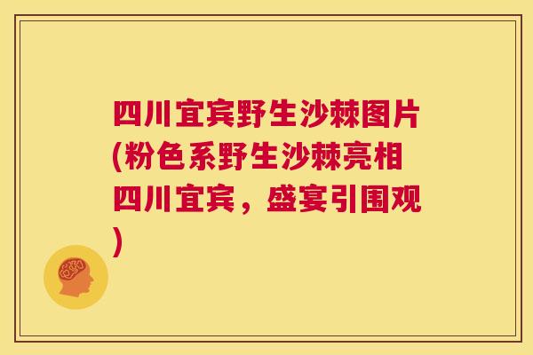 四川宜宾野生沙棘图片(粉色系野生沙棘亮相四川宜宾，盛宴引围观)