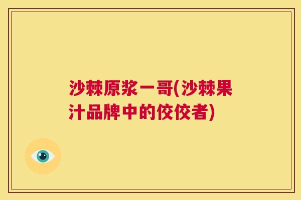 沙棘原浆一哥(沙棘果汁品牌中的佼佼者)