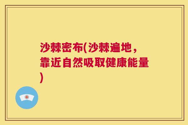 沙棘密布(沙棘遍地，靠近自然吸取健康能量)