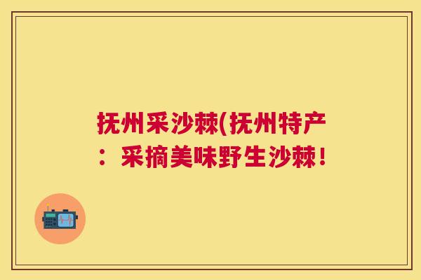 抚州采沙棘(抚州特产：采摘美味野生沙棘！