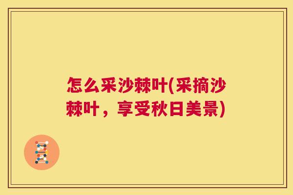 怎么采沙棘叶(采摘沙棘叶，享受秋日美景)