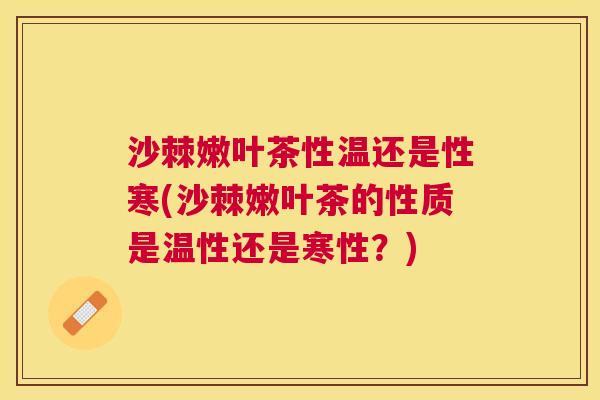 沙棘嫩叶茶性温还是性寒(沙棘嫩叶茶的性质是温性还是寒性？)