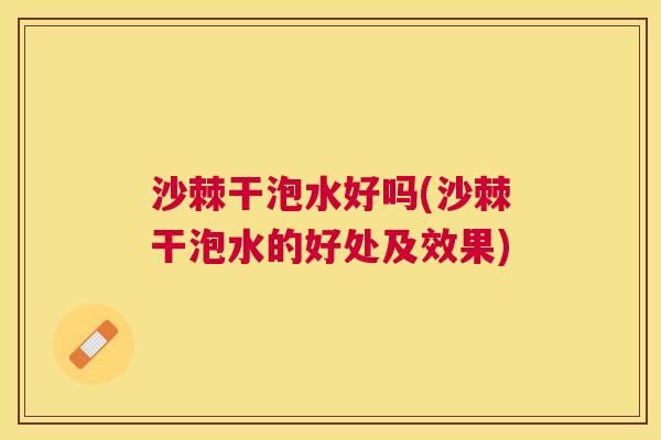 沙棘干泡水好吗(沙棘干泡水的好处及效果)