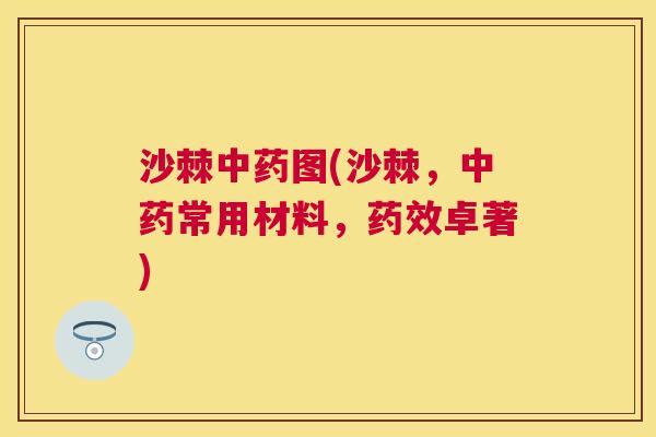 沙棘中药图(沙棘，中药常用材料，药效卓著)