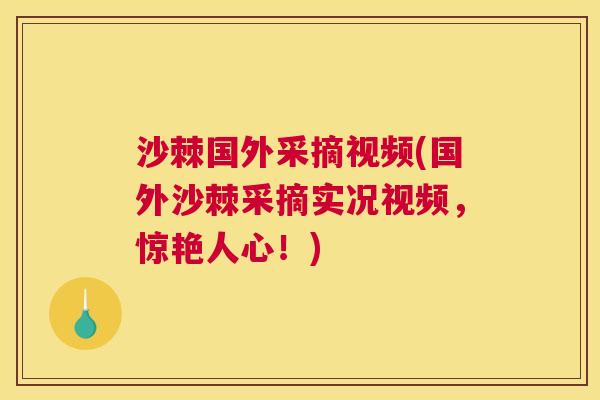 沙棘国外采摘视频(国外沙棘采摘实况视频，惊艳人心！)