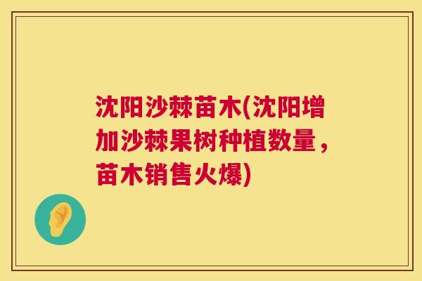 沈阳沙棘苗木(沈阳增加沙棘果树种植数量，苗木销售火爆)