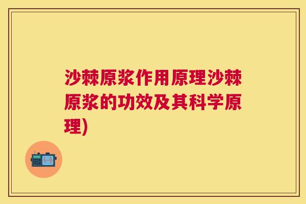 沙棘原浆作用原理沙棘原浆的功效及其科学原理)