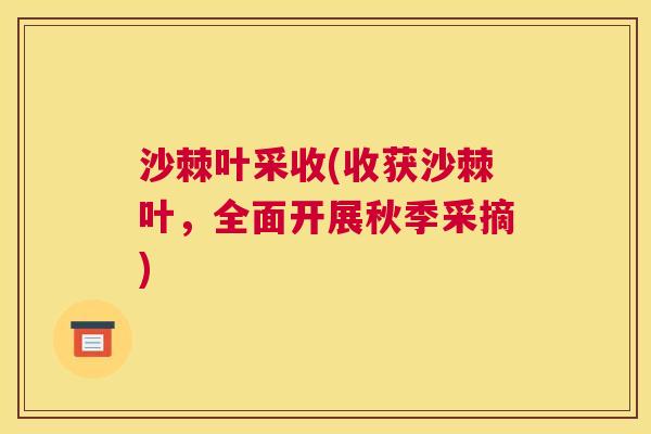 沙棘叶采收(收获沙棘叶，全面开展秋季采摘)