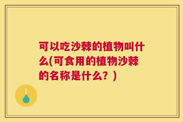 可以吃沙棘的植物叫什么(可食用的植物沙棘的名称是什么？)