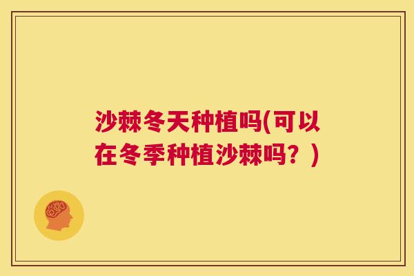 沙棘冬天种植吗(可以在冬季种植沙棘吗？)
