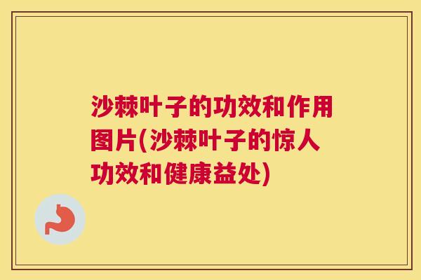 沙棘叶子的功效和作用图片(沙棘叶子的惊人功效和健康益处)