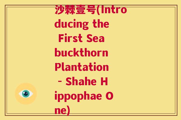 沙棘壹号(Introducing the First Seabuckthorn Plantation - Shahe Hippophae One)