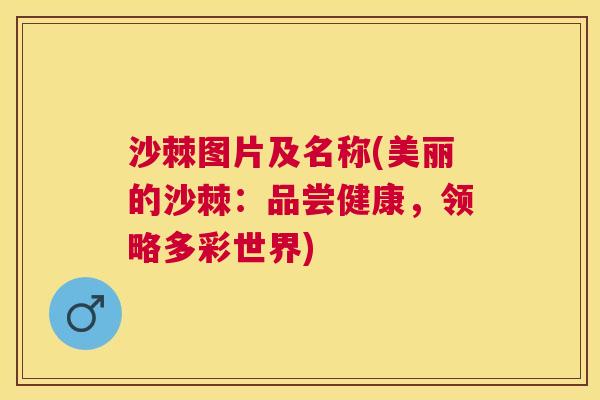 沙棘图片及名称(美丽的沙棘：品尝健康，领略多彩世界)