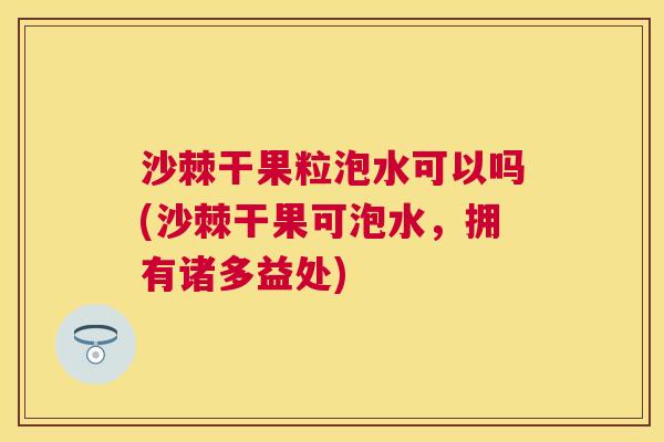 沙棘干果粒泡水可以吗(沙棘干果可泡水，拥有诸多益处)