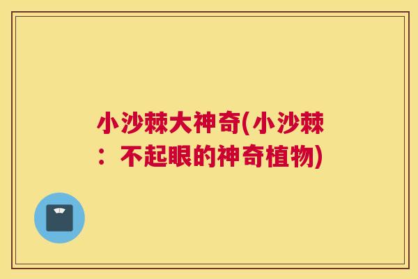 小沙棘大神奇(小沙棘：不起眼的神奇植物)