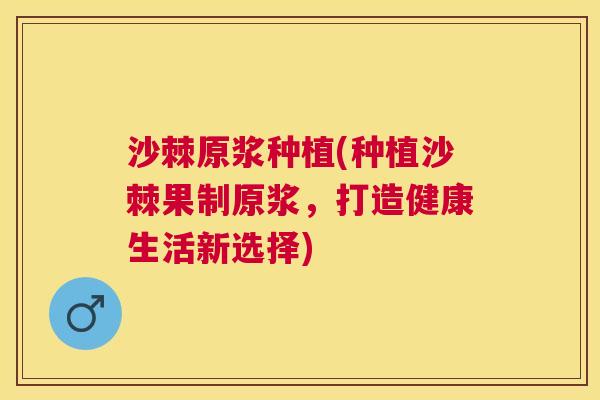 沙棘原浆种植(种植沙棘果制原浆，打造健康生活新选择)