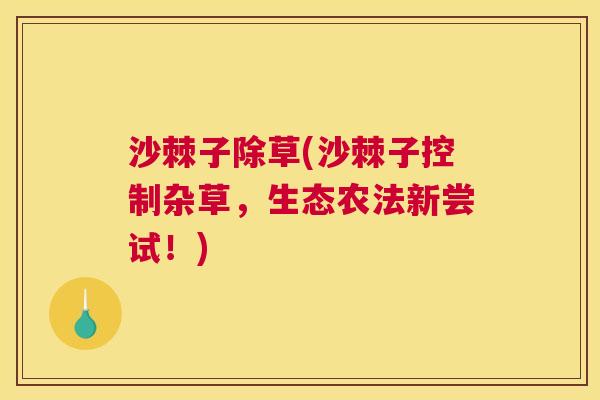 沙棘子除草(沙棘子控制杂草，生态农法新尝试！)