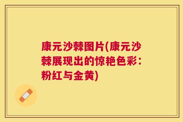 康元沙棘图片(康元沙棘展现出的惊艳色彩：粉红与金黄)