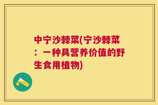中宁沙棘菜(宁沙棘菜：一种具营养价值的野生食用植物)