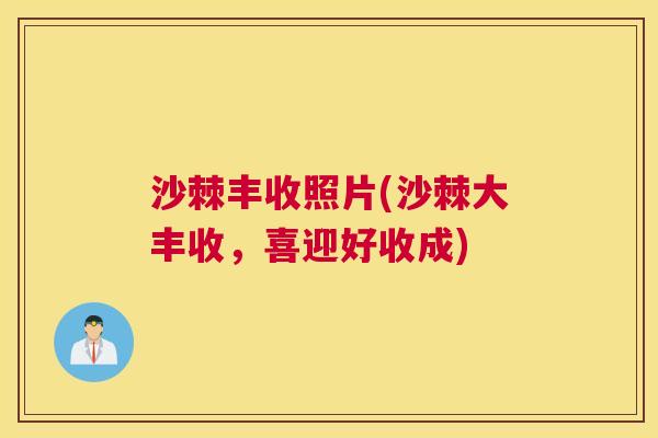 沙棘丰收照片(沙棘大丰收，喜迎好收成)
