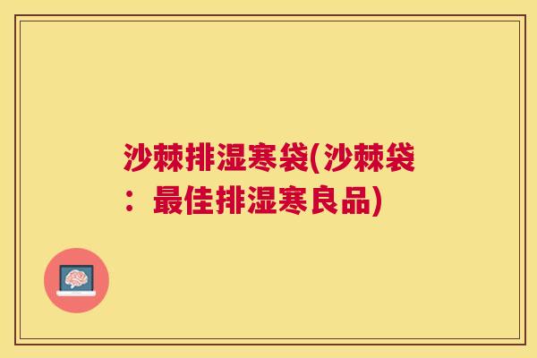 沙棘排湿寒袋(沙棘袋：最佳排湿寒良品)