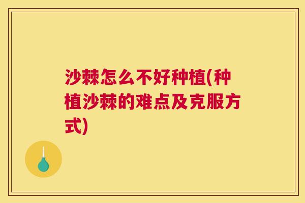 沙棘怎么不好种植(种植沙棘的难点及克服方式)