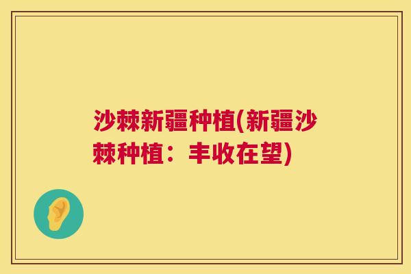 沙棘新疆种植(新疆沙棘种植：丰收在望)