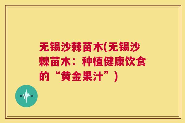 无锡沙棘苗木(无锡沙棘苗木：种植健康饮食的“黄金果汁”)
