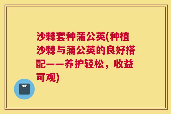 沙棘套种蒲公英(种植沙棘与蒲公英的良好搭配——养护轻松，收益可观)