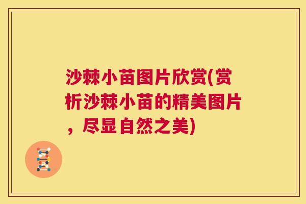 沙棘小苗图片欣赏(赏析沙棘小苗的精美图片，尽显自然之美)
