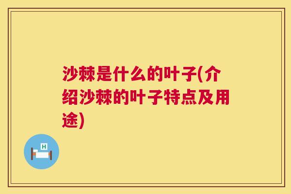 沙棘是什么的叶子(介绍沙棘的叶子特点及用途)