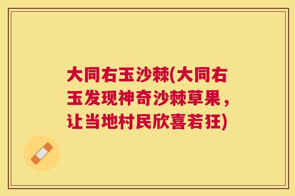 大同右玉沙棘(大同右玉发现神奇沙棘草果,让当地村民欣喜若狂) 大同右玉沙棘(大同右玉发现神奇沙棘草果,让当地村民欣喜若狂)