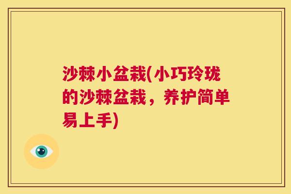沙棘小盆栽(小巧玲珑的沙棘盆栽，养护简单易上手)