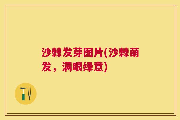 沙棘发芽图片(沙棘萌发，满眼绿意)