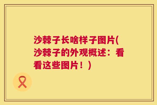 沙棘子长啥样子图片(沙棘子的外观概述：看看这些图片！)