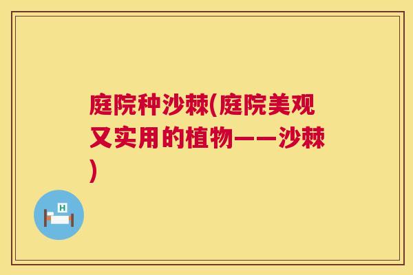 庭院种沙棘(庭院美观又实用的植物——沙棘)