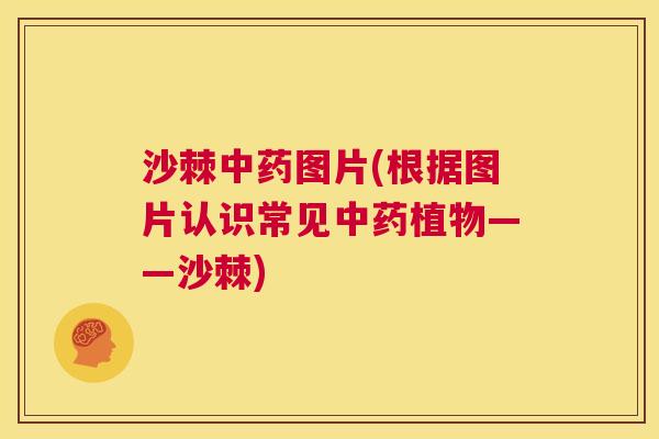 沙棘中药图片(根据图片认识常见中药植物——沙棘)