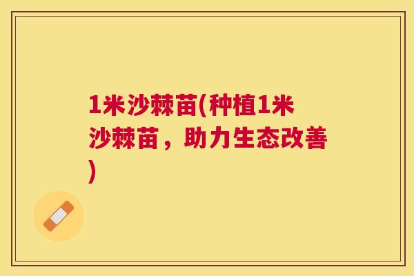 1米沙棘苗(种植1米沙棘苗，助力生态改善)
