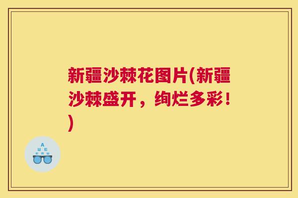 新疆沙棘花图片(新疆沙棘盛开，绚烂多彩！)