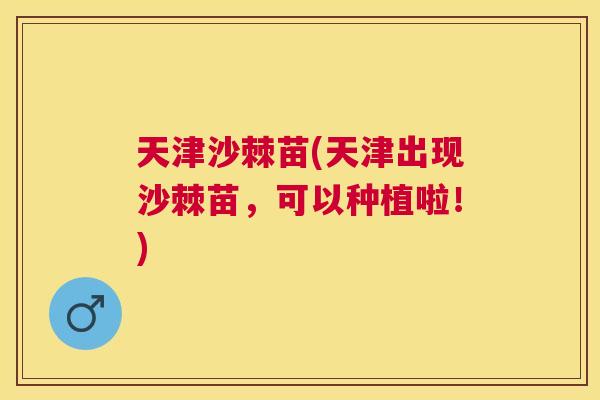 天津沙棘苗(天津出现沙棘苗，可以种植啦！)