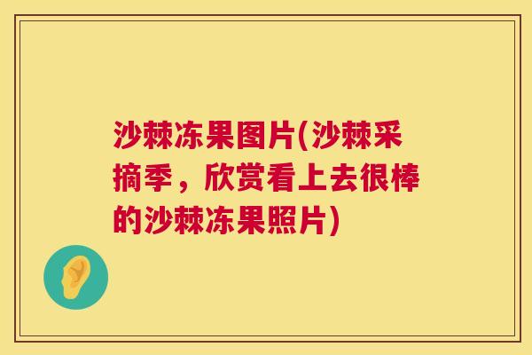 沙棘冻果图片(沙棘采摘季，欣赏看上去很棒的沙棘冻果照片)