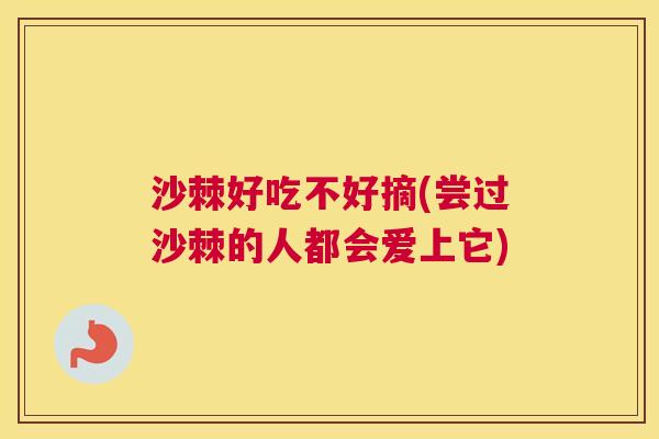 沙棘好吃不好摘(尝过沙棘的人都会爱上它)