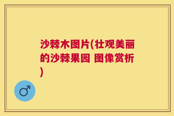 沙棘木图片(壮观美丽的沙棘果园 图像赏析)