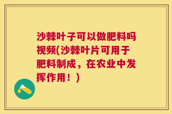 沙棘叶子可以做肥料吗视频(沙棘叶片可用于肥料制成，在农业中发挥作用！)
