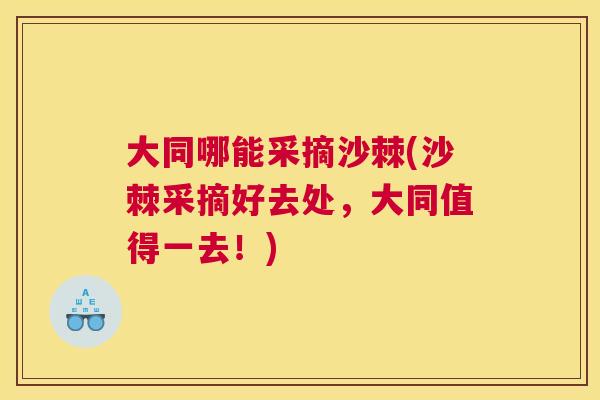 大同哪能采摘沙棘(沙棘采摘好去处，大同值得一去！)